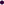 Purple Bullet Image