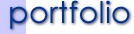 Portfolio Page Title